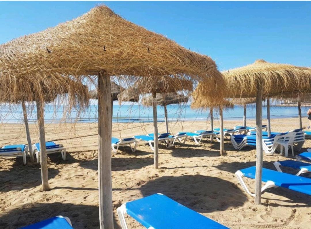 Apartment Los Locos Torrevieja Costa Blanca 외부 사진